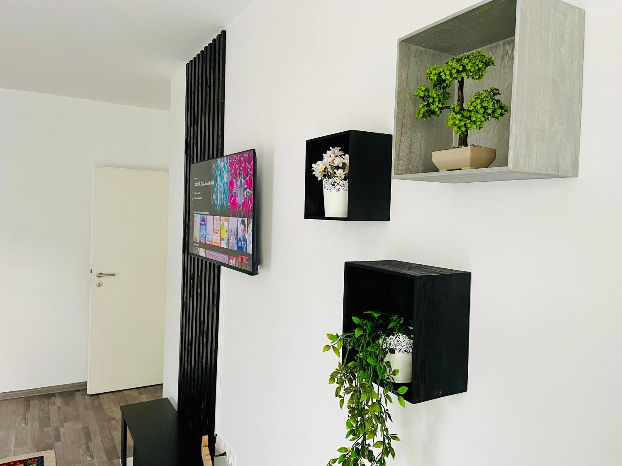 Montsee Brasov Appartement Buitenkant foto